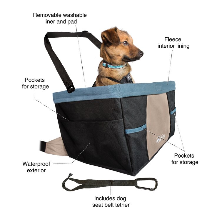 Kurgo pet outlet carrier